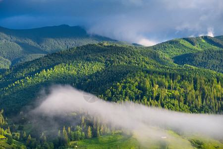 山中的森林山的夏天森林自然夏季景观雾中的森林乡村景观图片