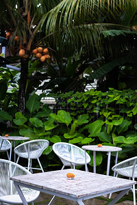 印度尼西亚巴厘岛热带餐馆内地亚洲6月图片