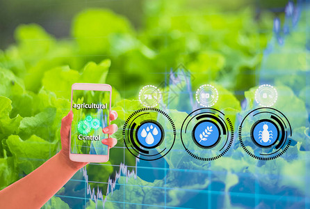 手持智能手机背景金田股票图表技术概念农产品控制农业期货交易世界市场使用技背景图片