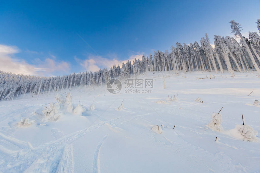 在白雪皑的冬天图片