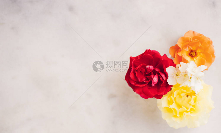 美丽的花卉平面组合婚礼装饰花店设计和完美的花园概图片