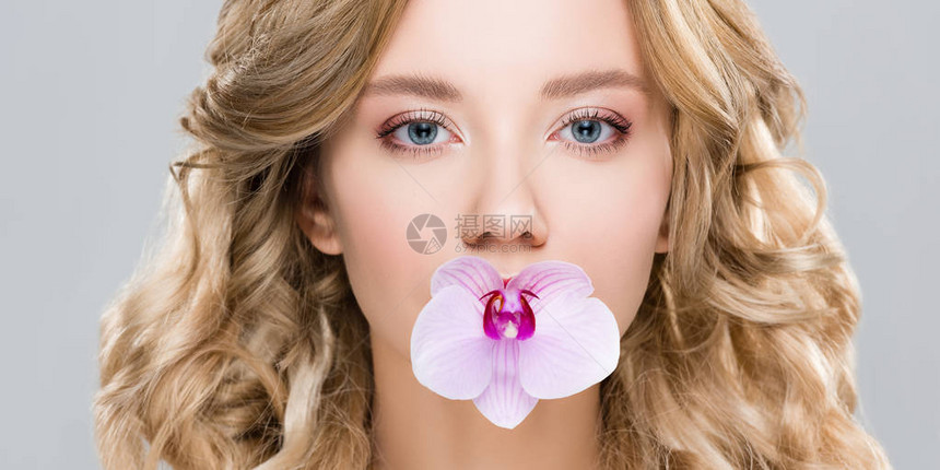 在嘴里用紫兰花的年轻女图片