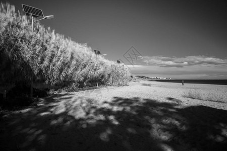 黑白红外摄影海沙滩图片