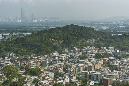 香港元朗区村庄与深圳天际线图片