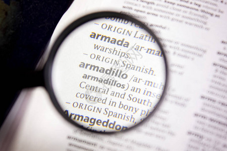 字典中的Armadillo背景图片