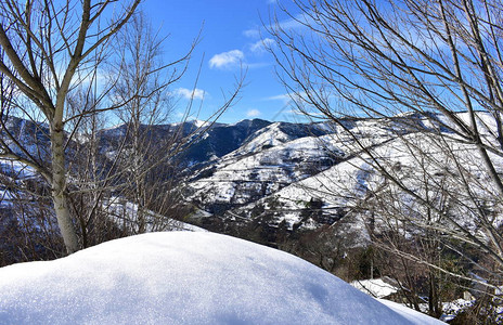 与雪山和树木的冬季景观西班牙加利西亚卢戈省图片