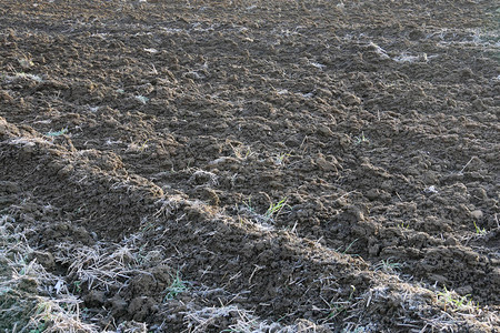 冬季农业用地秋天土壤加工到春图片