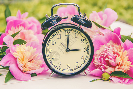 春天的花朵和闹钟改变时间自然图片