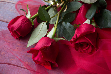 红玫瑰作为赠品用于图片