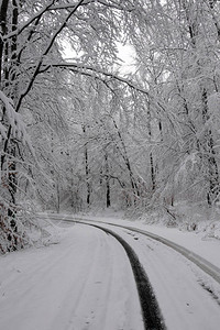 美丽的白色冬季童话故事图片