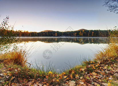 湖水层树顶的镜像图片