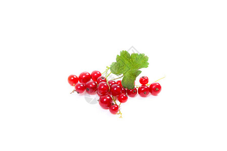 关闭在白色背景隔绝的红醋栗莓果看法一束红醋栗和红醋栗图片