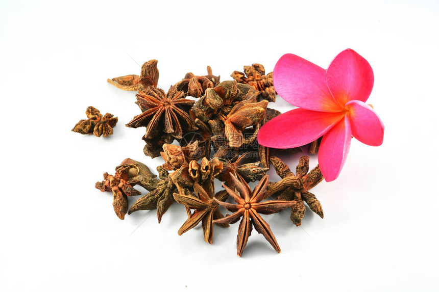 香料明星Anise水果和粉红色花朵在白色背景上被孤立星光耀眼的BadianKhatai图片