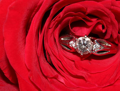 红玫瑰钻石戒指特写图片