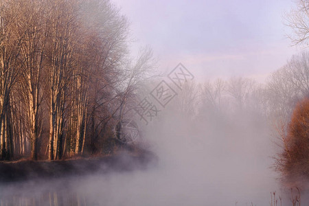 日出时雾在CasalesulSile的Sile河上海岸上的图片