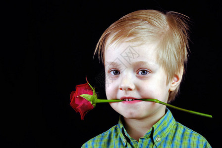 男孩有红玫瑰男孩牙齿长着玫瑰母亲节图片