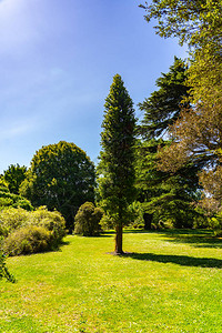 新西兰基督城植物园图片