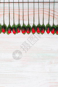 美丽的假红玫瑰和叶子的排列图片