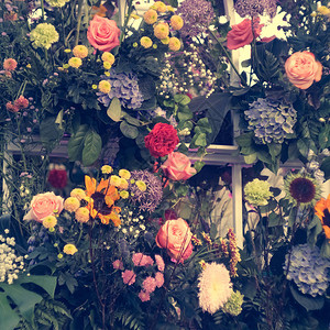 美丽的墙壁与鲜花和植物色调色调图片