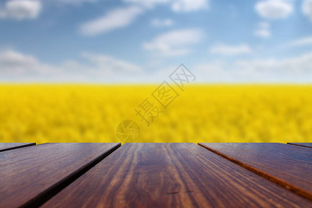 木桌面和春天油菜田背景图片