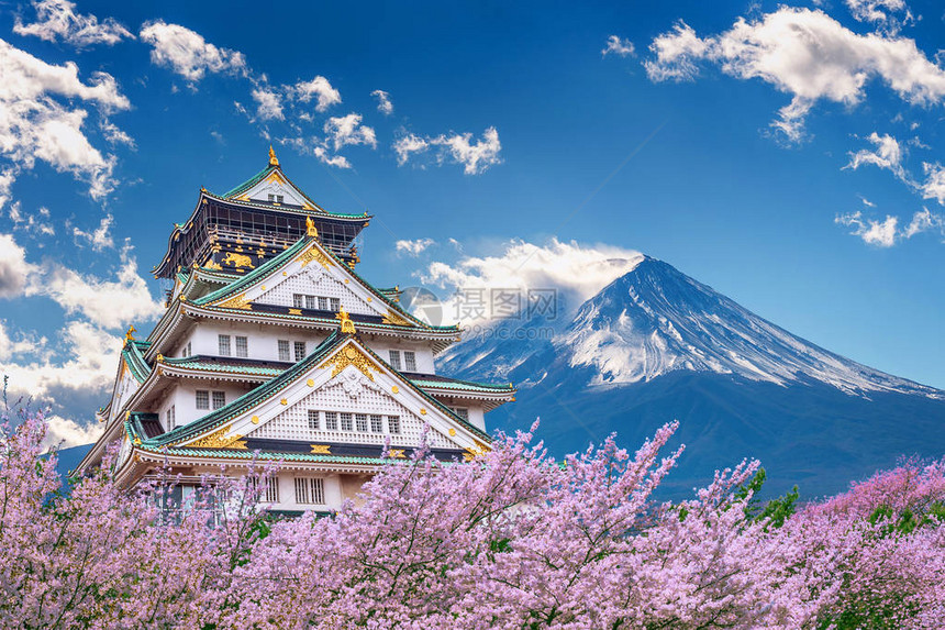 春天樱花盛开的富士山和城堡图片