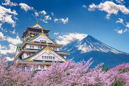 春天樱花盛开的富士山和城堡图片