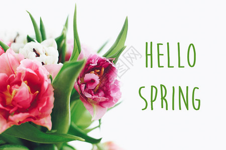 你好春天的文字标志在美丽的双牡丹郁金香花束上春天时尚花卉贺卡图片