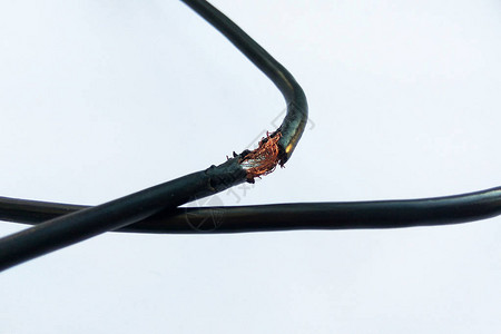 白色背景的黑色电线被损坏危险的断电缆图片