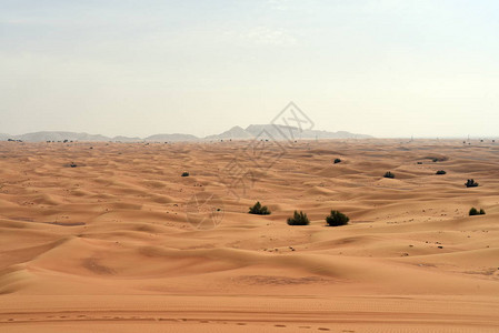 Rock和Sharjah沙漠地区图片