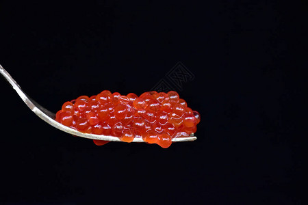鱼的红鱼子酱图片