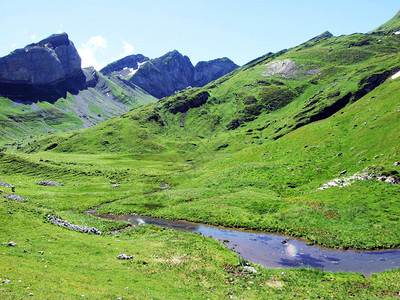 Alviergruppe山脉和莱茵河谷山坡上的高山牧场和草地图片