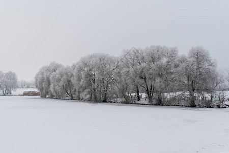 冬天的风景树木覆盖着冰霜湖已图片