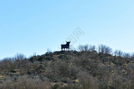 山上的传统公牛路背景图片