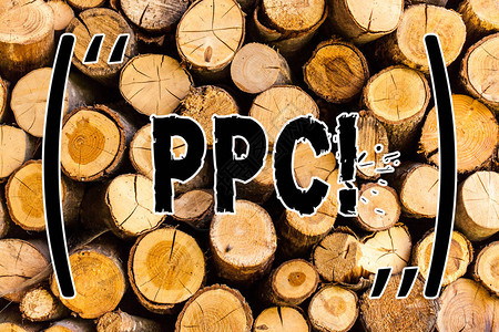 Ppc概念意指付费者点击广告战略直接到Wooden网站的直接交通图片