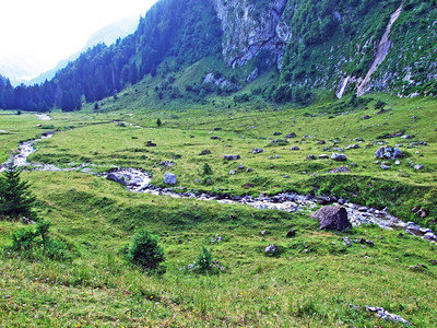 Alpstein山脉斜坡和Thur河谷的高山牧场和草地图片