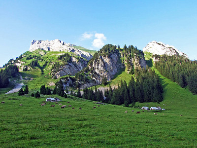 Alpstein山脉斜坡和Thur河谷的高山牧场和草地图片