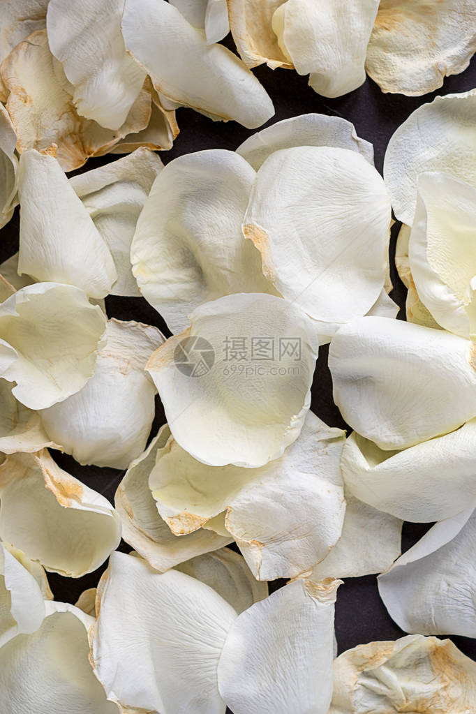 白玫瑰花瓣背景图片