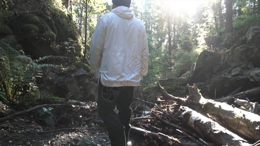 男露营者穿过小溪河落叶树干和岩石慢动作的后视图图片