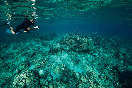 自由人探索海洋生物在海图片