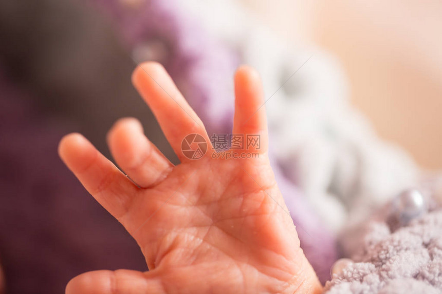 一只新生婴儿的手一个小图片
