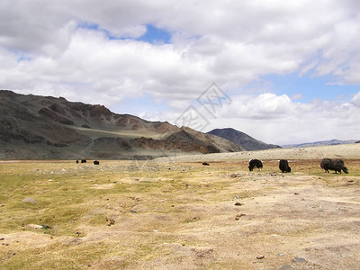 蒙古的自然景观环绕着山脉图片