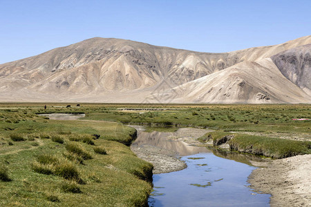 塔吉克斯坦帕米尔山脉Bulunkuu图片