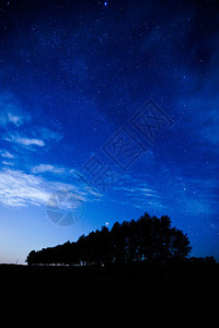 防风森林夜空图片
