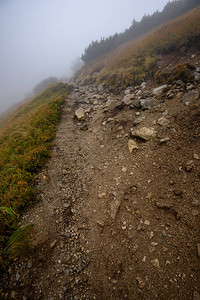 旅游者在雾弥漫的岁月中徒步旅行伴有雨图片