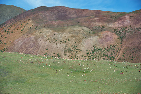 蒙古西部自然山界Tsagduult山地草原牧场上图片