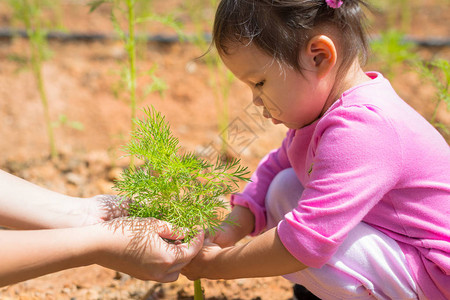 母亲教她的孩子如何照料农场里的植物图片