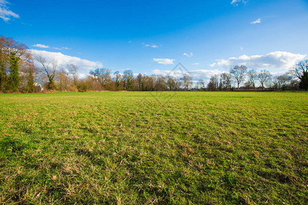 户外乡村绿地景观自然春天草甸背景与生长的草蓝天和地平线上的图片