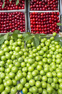 新鲜的有机水果绿色的李子和樱桃图片