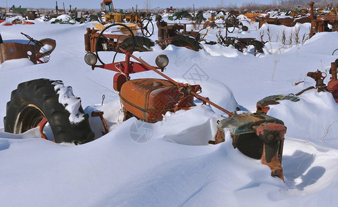 冬季暴风雪过后图片