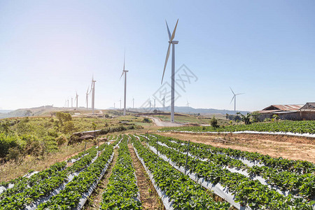 白色风力涡轮机在风力发电站发电从自然中替图片